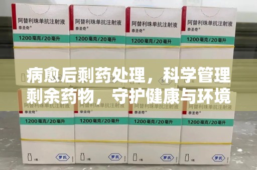 南阳病愈后剩药处理，科学管理剩余药物，守护健康与环境