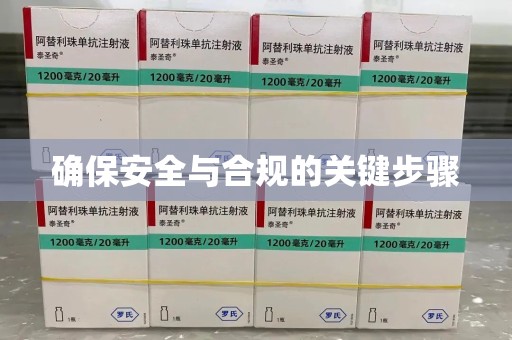 南阳确保安全与合规的关键步骤
