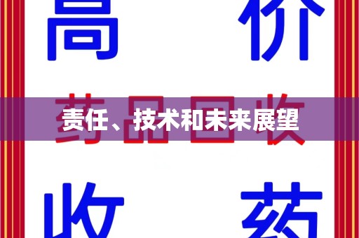 南阳责任、技术和未来展望