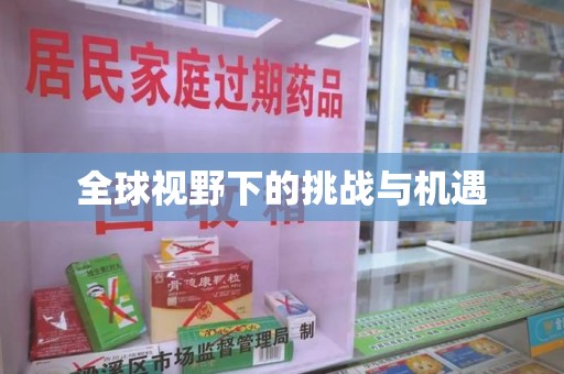 南阳全球视野下的挑战与机遇