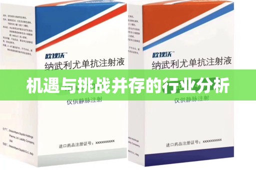 南阳机遇与挑战并存的行业分析