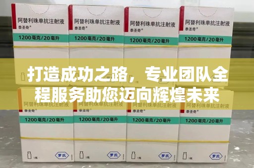 南阳打造成功之路，专业团队全程服务助您迈向辉煌未来