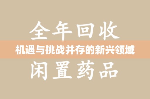南阳机遇与挑战并存的新兴领域