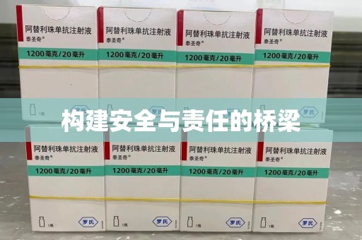 南阳构建安全与责任的桥梁