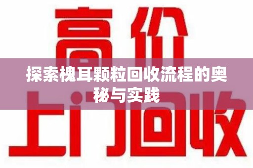 南阳探索槐耳颗粒回收流程的奥秘与实践