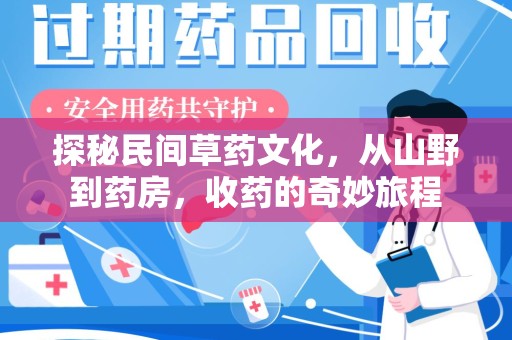 南阳探秘民间草药文化，从山野到药房，收药的奇妙旅程