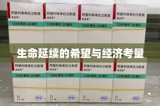 南阳生命延续的希望与经济考量