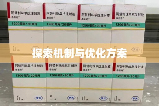 南阳探索机制与优化方案